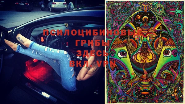 меф Корсаков