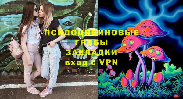 меф Корсаков