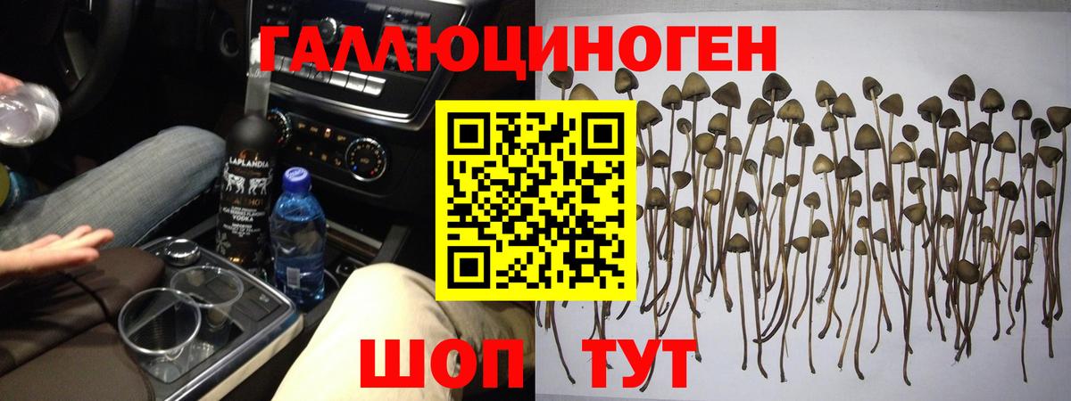 Галлюциногенные грибы мицелий Балашиха