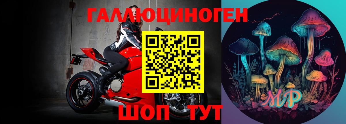 Галлюциногенные грибы Psilocybine cubensis  Балашиха 