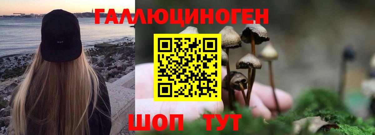 Галлюциногенные грибы GOLDEN TEACHER Балашиха